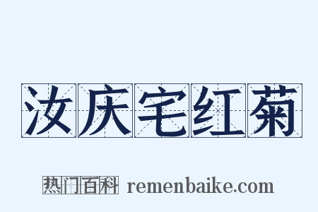 汝庆宅红菊是什么意思的图片